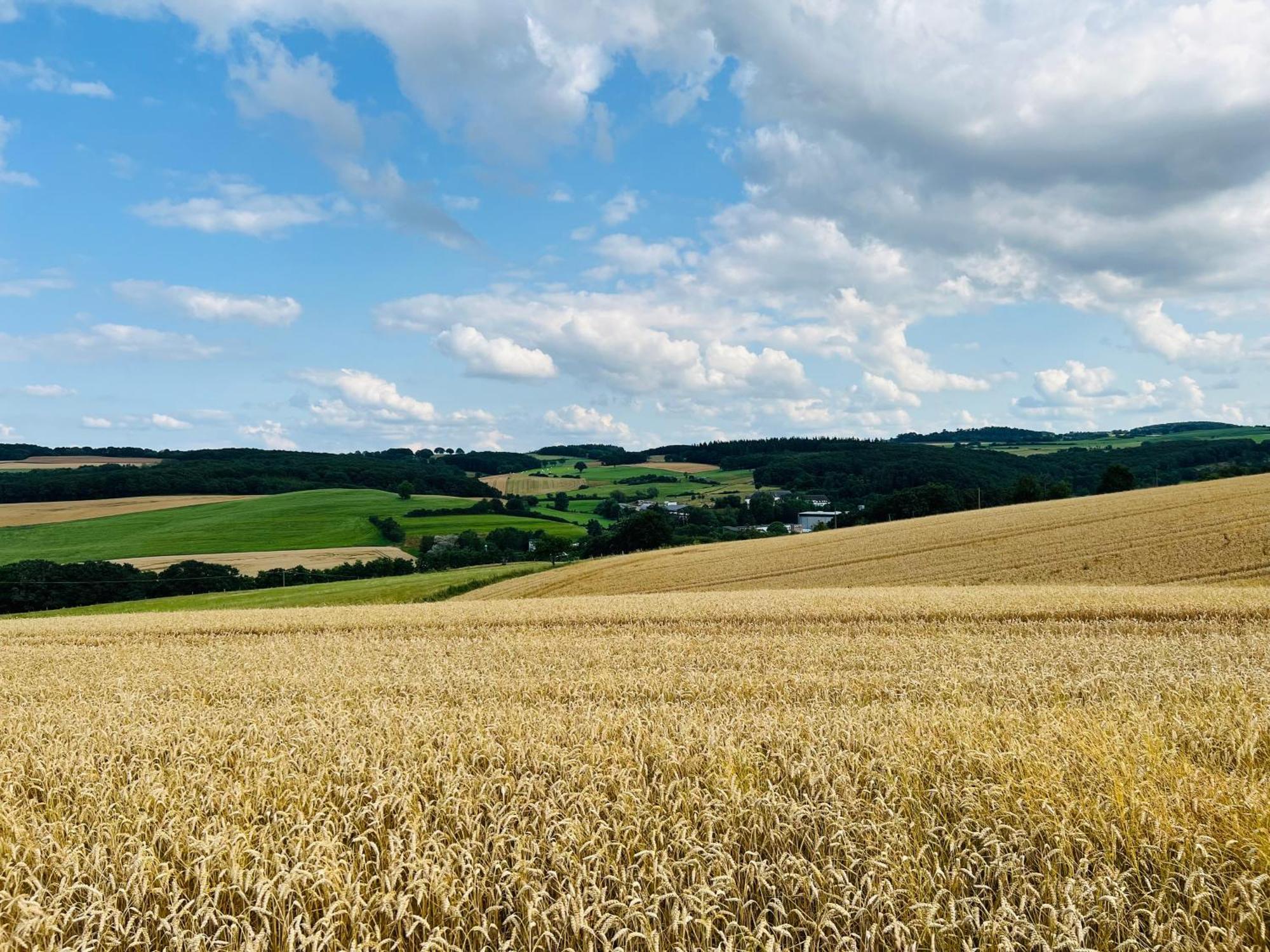 Ferienwohnung In Der Schoenen Eifel! Mechernich Esterno foto