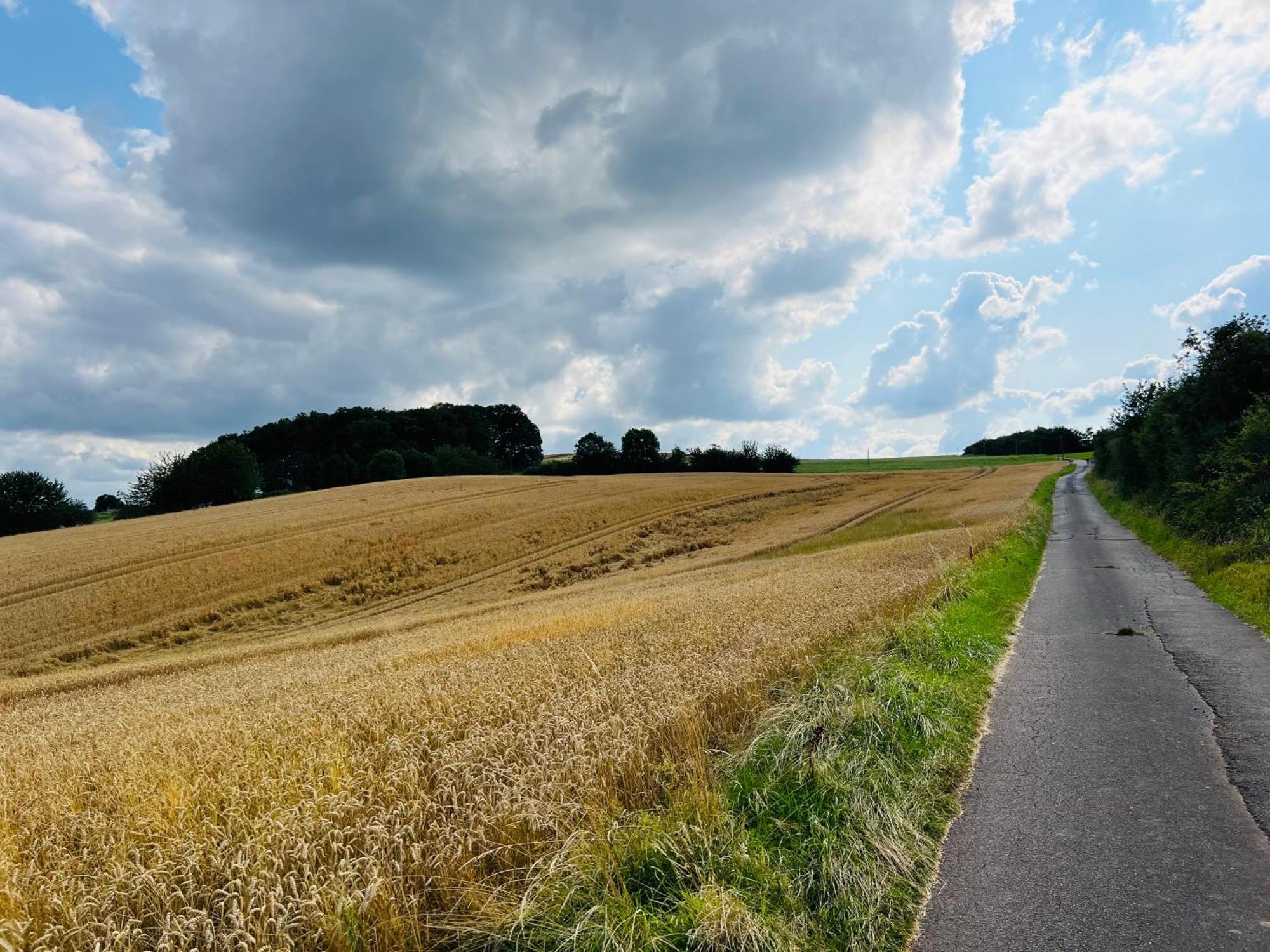 Ferienwohnung In Der Schoenen Eifel! Mechernich Esterno foto